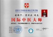 国际中医大师——曹洪正